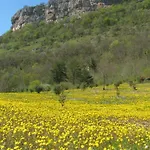 Manoir De Rieuzal Bed & Breakfast Loubressac