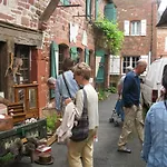 Bed & Breakfast Manoir De Rieuzal 3*