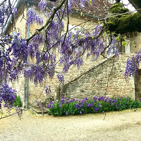 Manoir De Rieuzal Bed and breakfast