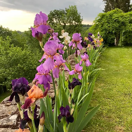 Manoir De Rieuzal B&B