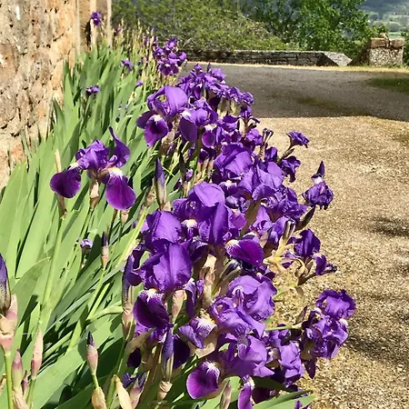 Manoir De Rieuzal Bed and breakfast Loubressac