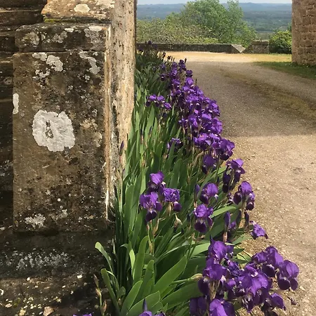 Manoir De Rieuzal Loubressac