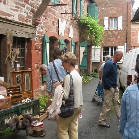 فندق مبيت وإفطار Manoir De Rieuzal 3*