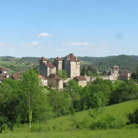 Manoir De Rieuzal Bed and breakfast Loubressac