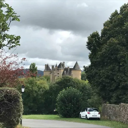 Manoir De Rieuzal Bed and breakfast *