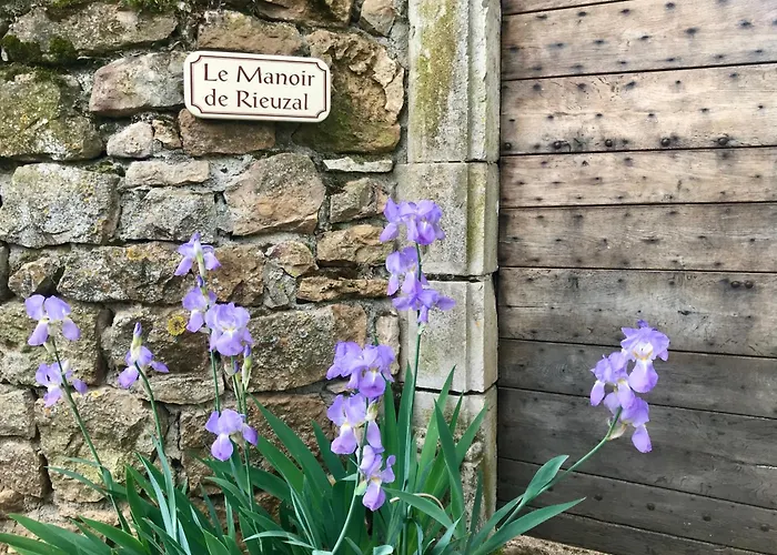 Bed & Breakfast Manoir De Rieuzal