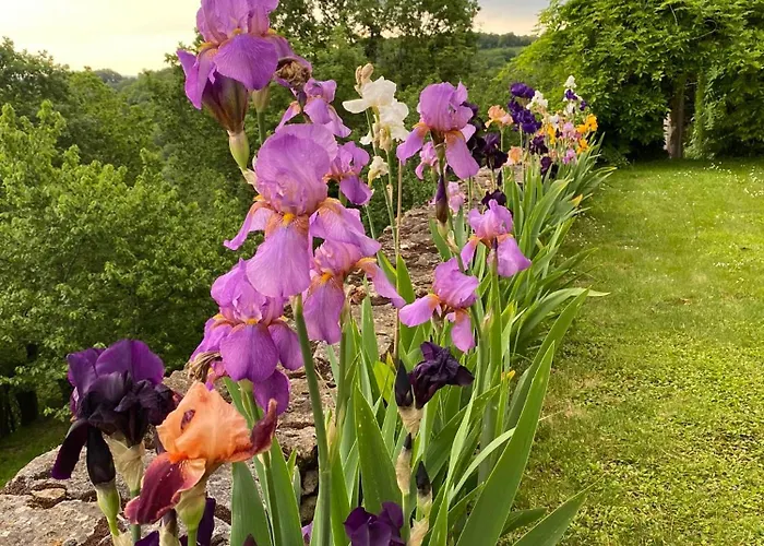 Manoir De Rieuzal Bed & Breakfast