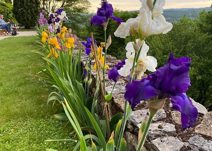 Manoir De Rieuzal Bed & Breakfast