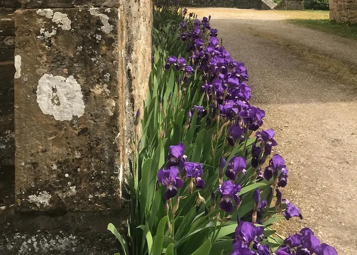Manoir De Rieuzal Loubressac