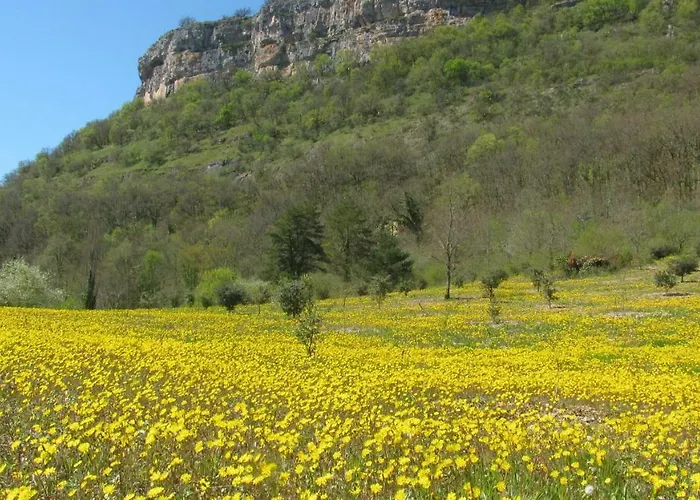 瑞乌扎尔庄园住宿加早餐旅馆 住宿加早餐酒店 卢布雷萨克