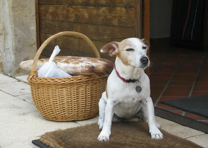 瑞乌扎尔庄园住宿加早餐旅馆