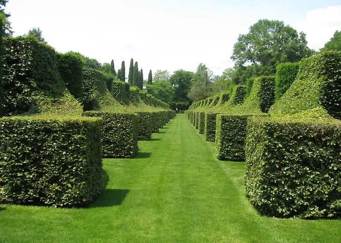 Manoir De Rieuzal Отель типа 