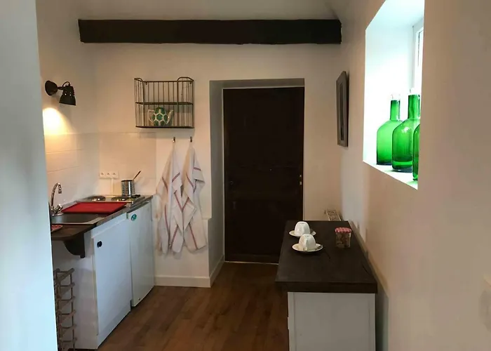 Manoir De Rieuzal 3* Loubressac