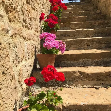 Bed & Breakfast Manoir De Rieuzal 3*