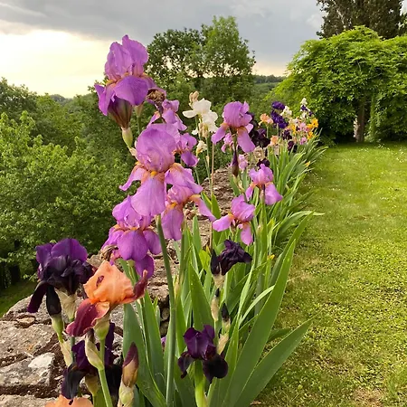 Manoir De Rieuzal Bed & Breakfast