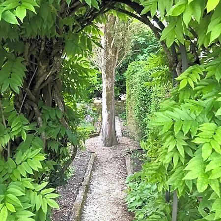 Manoir De Rieuzal Отель типа 