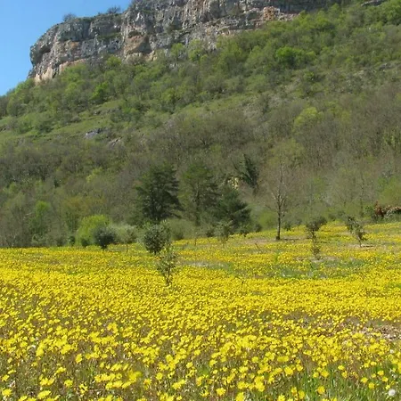 Manoir De Rieuzal Bed & Breakfast Loubressac